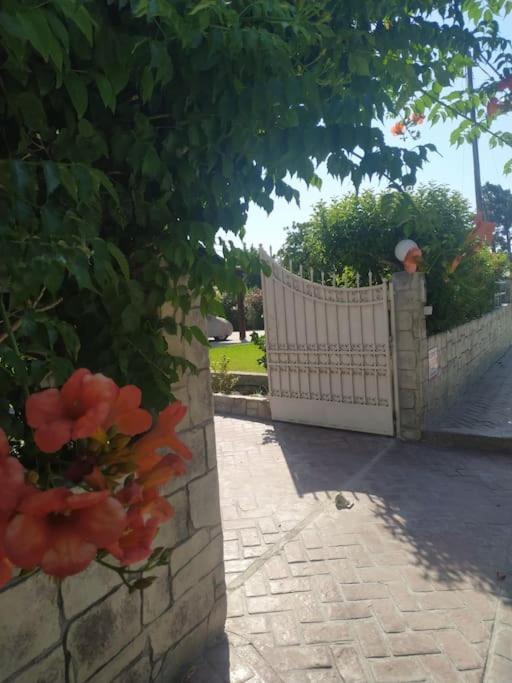 Greek Style Ground Floor Apartment & Pool Ialysos  Exterior photo