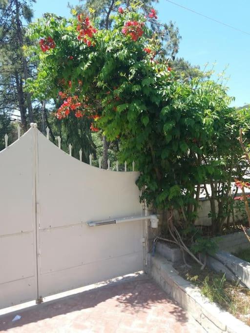 Greek Style Ground Floor Apartment & Pool Ialysos  Exterior photo